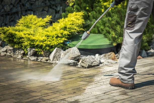 Best House Exterior Washing  in Barnum Island, NY