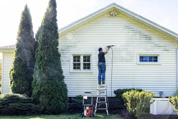 Best Soft Washing  in Barnum Island, NY